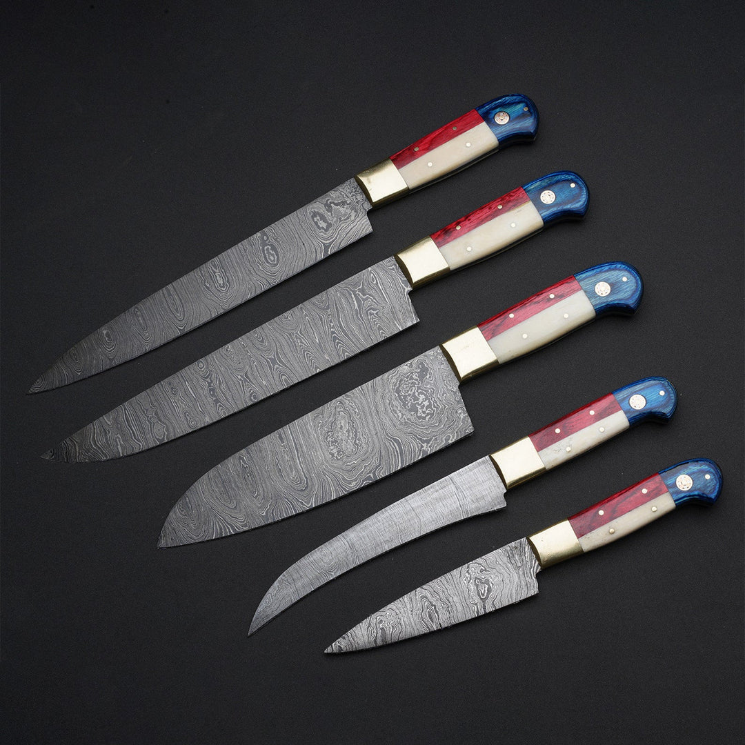 5 Pcs Custom Handmade Damascus Chef Set Knives, Kitchen Knife Set, BBQ  JW-5014